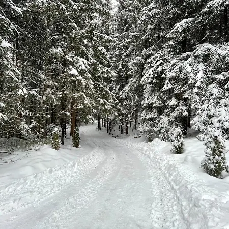 Appart hôtel The Foresta Jasna Mountain Cabin 3*